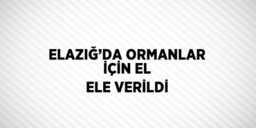 22819282892720123496tasarimli