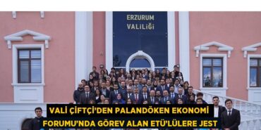 22825239092745030981tasarimli