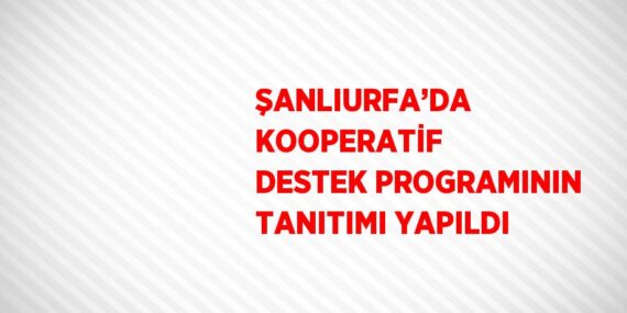 ŞANLIURFA’DA KOOPERATİF DESTEK PROGRAMININ TANITIMI YAPILDI
