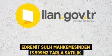 22833205272059422845tasarimli