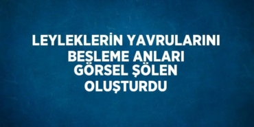 22851238992265326161tasarimli