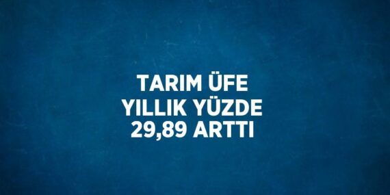 TARIM ÜFE YILLIK YÜZDE 29,89 ARTTI
