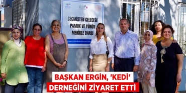 22861288853185523271tasarimli