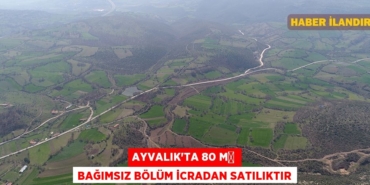 22865213303075024470tasarimli