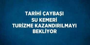 22878252832132921666tasarimli