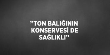 22880218973085131117tasarimli