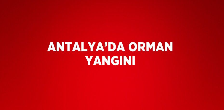 22880276552574921319tasarimli