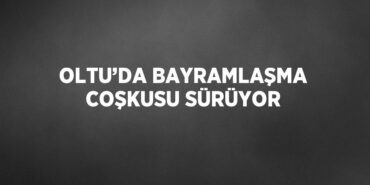 22885206722918223351tasarimli