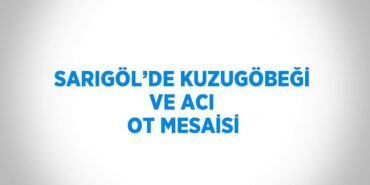 22894215693069326282tasarimli