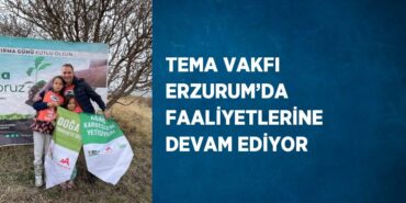 22902295272755524416