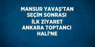 22903276412114230783tasarimli