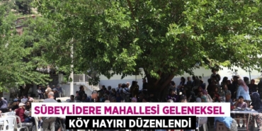 22913273862124222442tasarimli