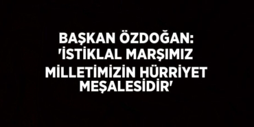 22917203463185227772tasarimli