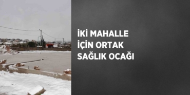 22923243732312231981