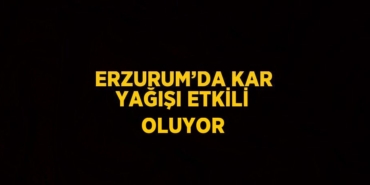 22923314953183930988tasarimli