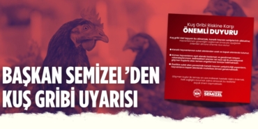 22931252042050222476