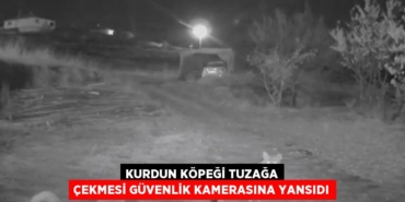 22931282462465926176tasarimli