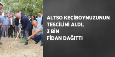 22932231283114821188