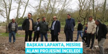 22932243043187730591tasarimli