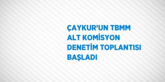 ÇAYKUR’UN TBMM ALT KOMİSYON DENETİM TOPLANTISI BAŞLADI