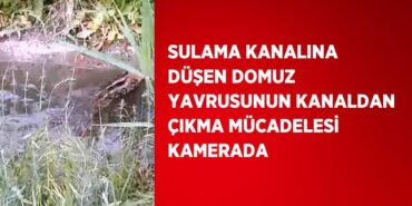 22948305542710926229