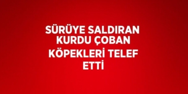 22949317482681730618tasarimli