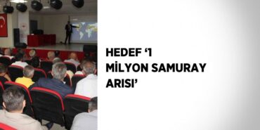 22963265083060328440