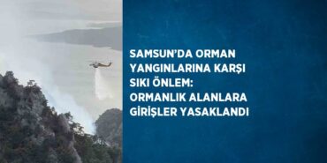 22967277942696429443