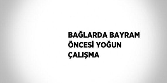 BAĞLARDA BAYRAM ÖNCESİ YOĞUN ÇALIŞMA
