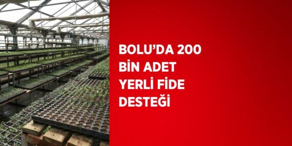 BOLU’DA 200 BİN ADET YERLİ FİDE DESTEĞİ