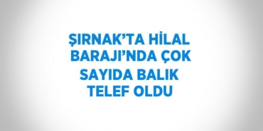22987296212693025710tasarimli
