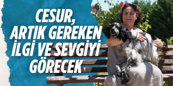 Cesur, artık gereken ilgi ve sevgiyi görecek