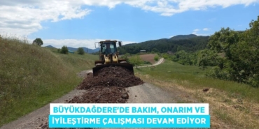 22990286402900630551tasarimli