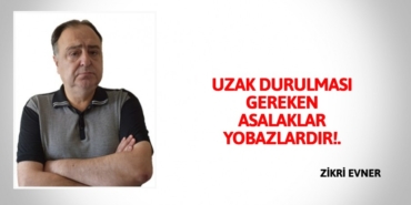 22992259572428327842