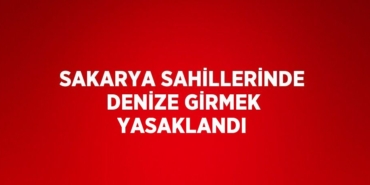 22995236042021831251tasarimli