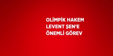 23014229483038723104