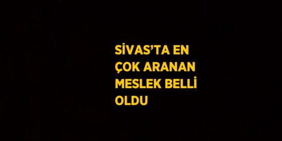 SİVAS’TA EN ÇOK ARANAN MESLEK BELLİ OLDU