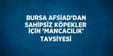 23022205152456721876tasarimli