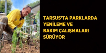 23023220062519026552