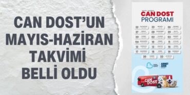 23024262792604624467