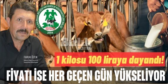 1 kilosu 100 liraya dayandı!  Fiyatı ise her geçen gün yükseliyor