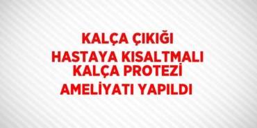 23028283762007027709tasarimli