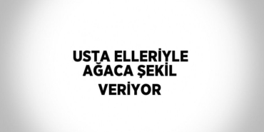 23029275422881725486tasarimli