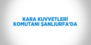 23029289012037122957tasarimli