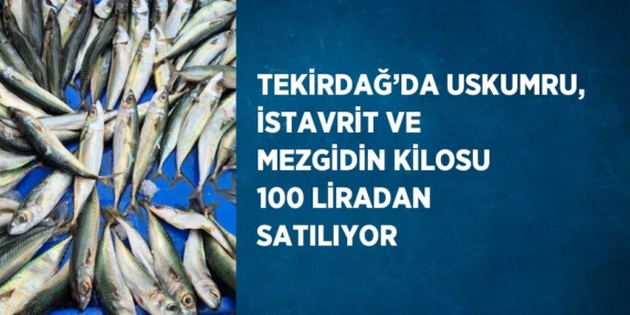 TEKİRDAĞ’DA USKUMRU, İSTAVRİT VE MEZGİDİN KİLOSU 100 LİRADAN SATILIYOR