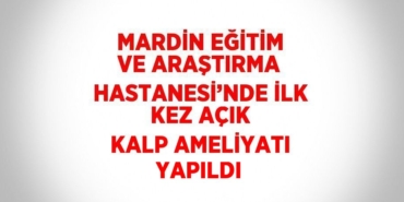 23048282372677425795tasarimli