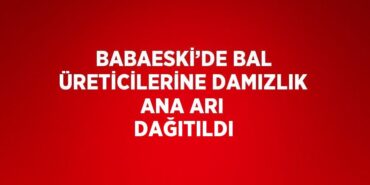 23052281672524026484tasarimli