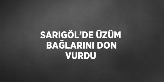 SARIGÖL’DE ÜZÜM BAĞLARINI DON VURDU