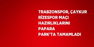 23061278462363423290