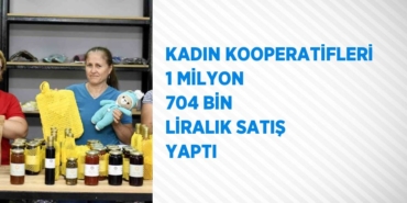 23062204082696130055